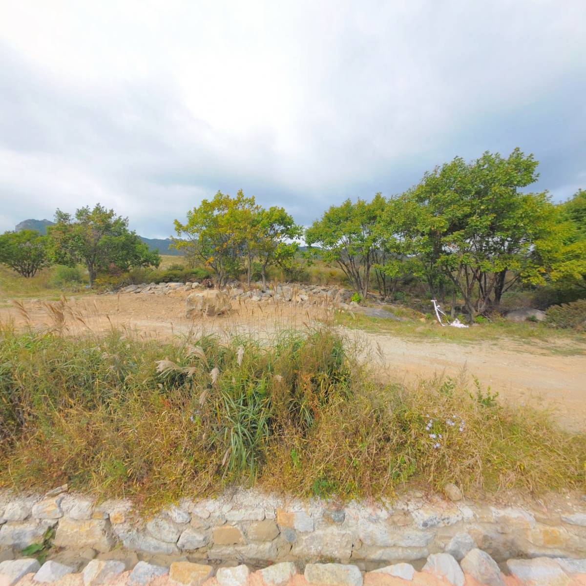 황매산철쭉영농조합