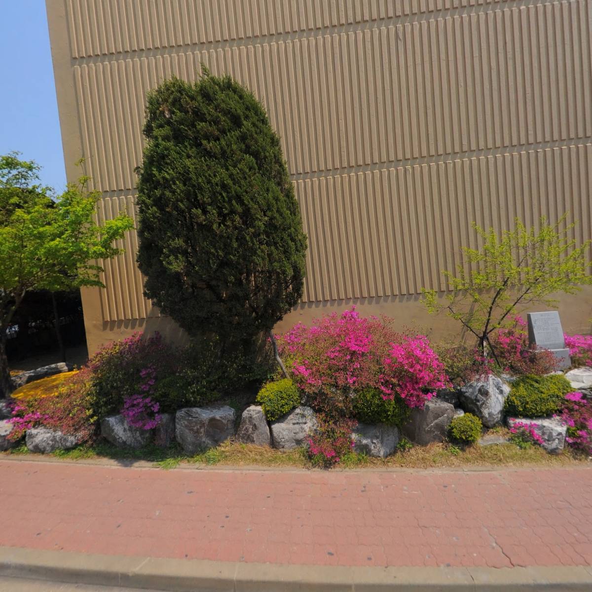 리틀크레이지피자