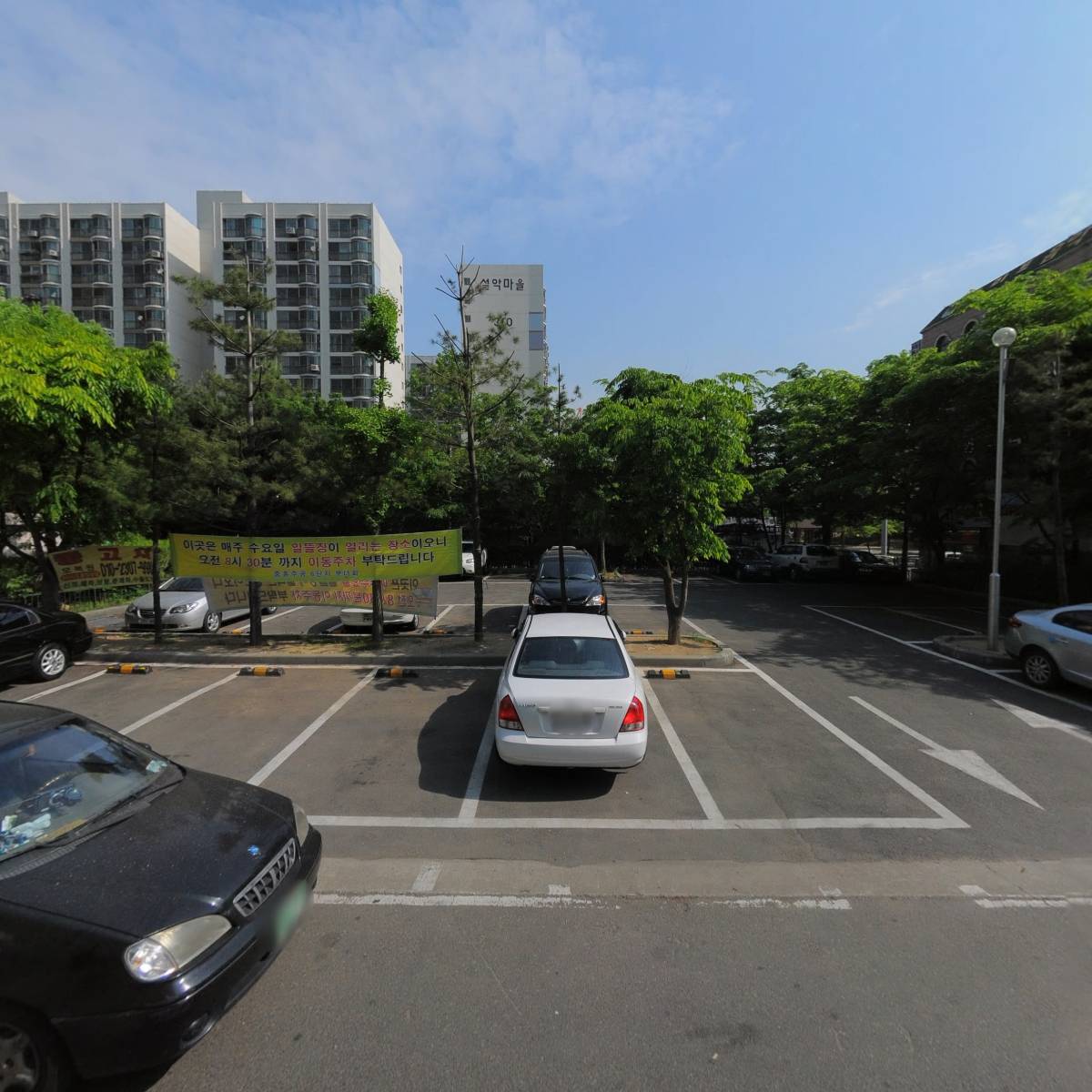 딜리스캐빈_3