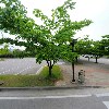 스파이텍(SPYTECH)