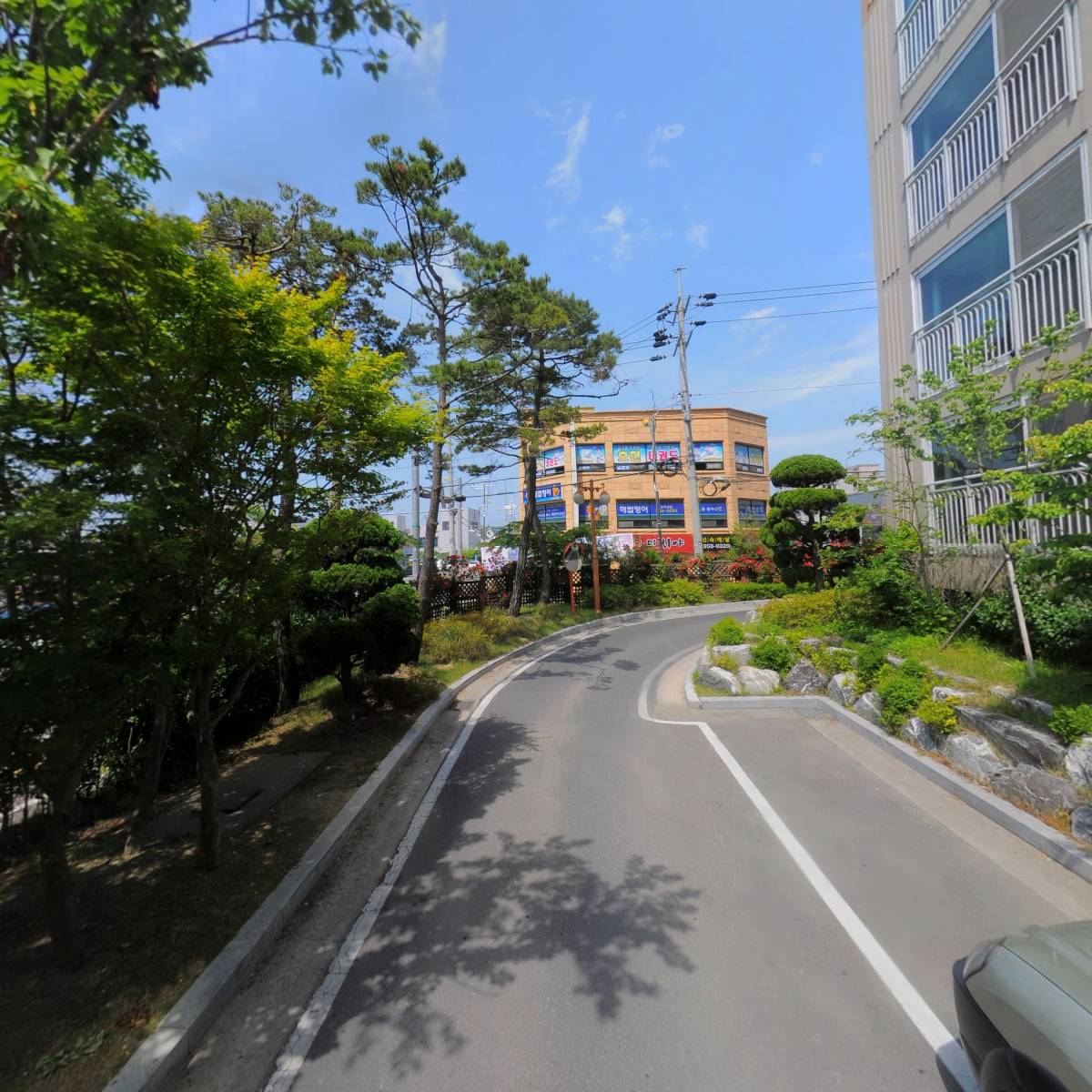 디피솔루션_2