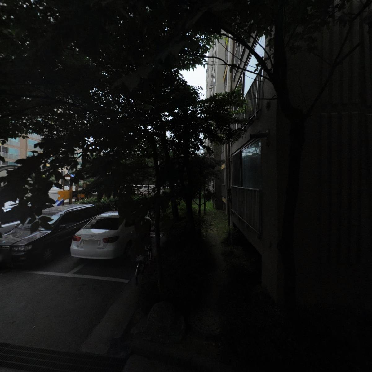 미노헤어
