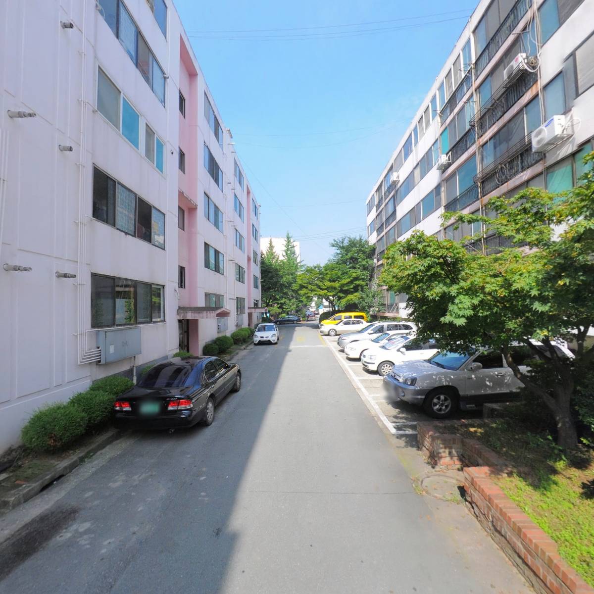 힘쎈수달PC방_2
