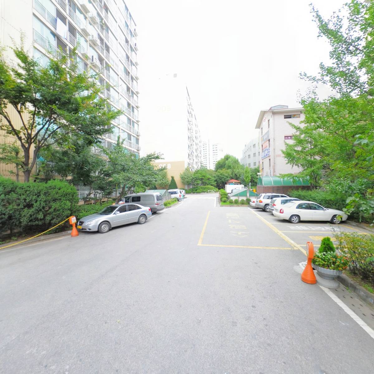 핑크시크릿_2