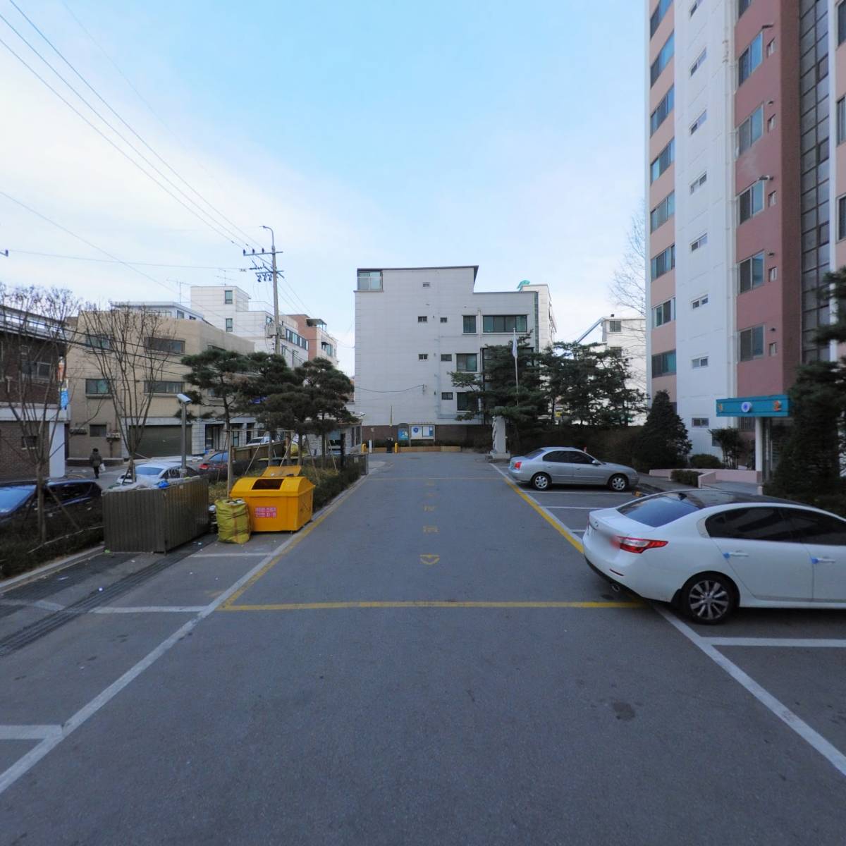 보니카(BONICA)_2