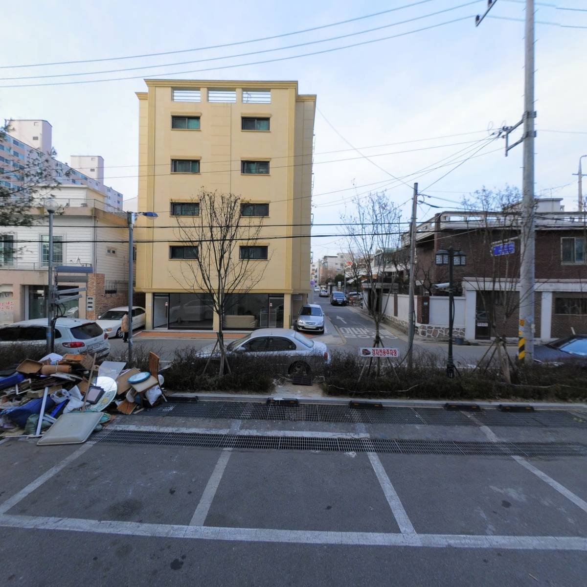 보니카(BONICA)