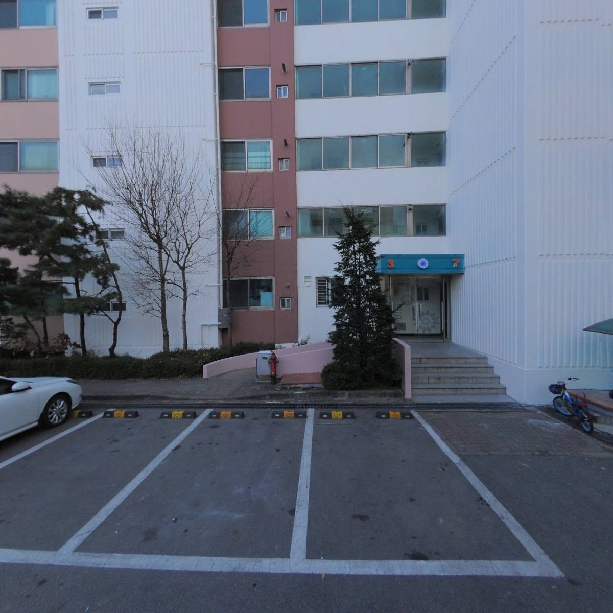 보니카(BONICA)_3