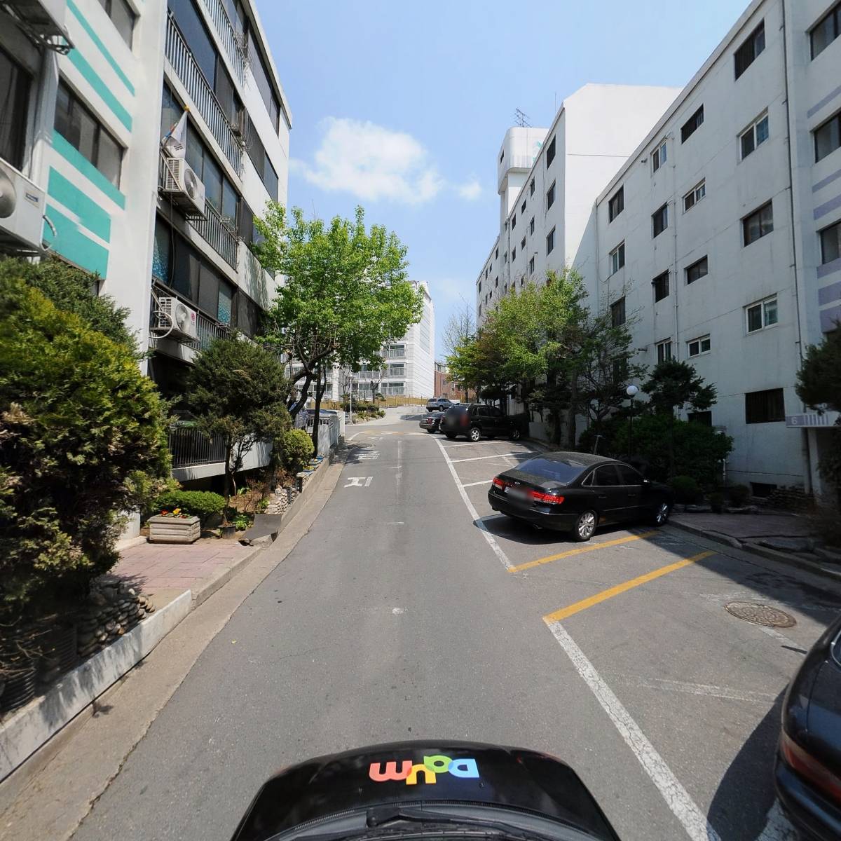 디오니소스_4