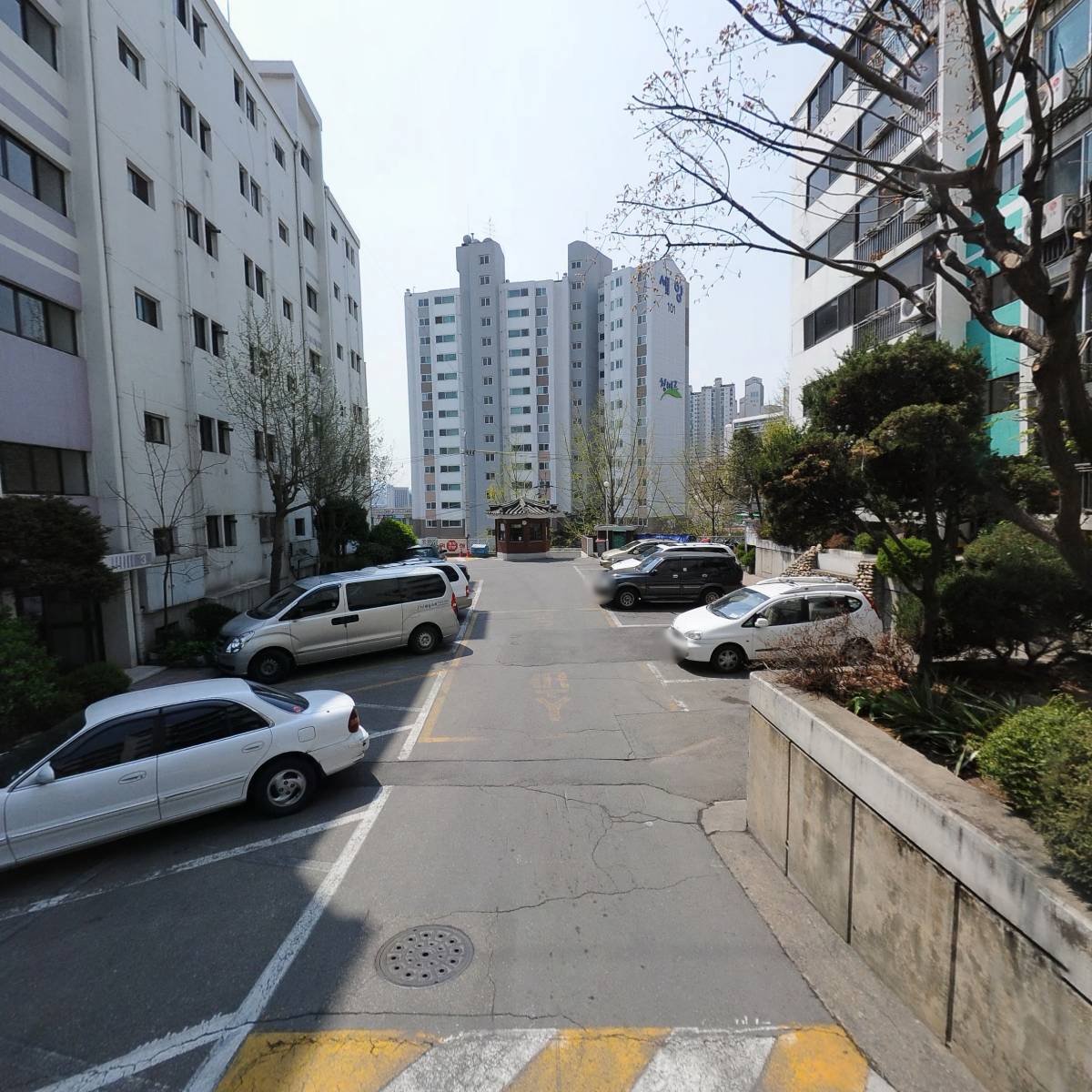 디오니소스_2