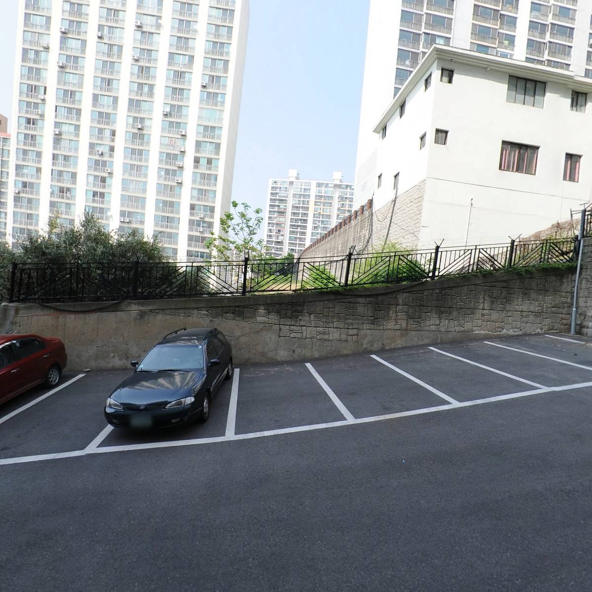 프로카젠_3