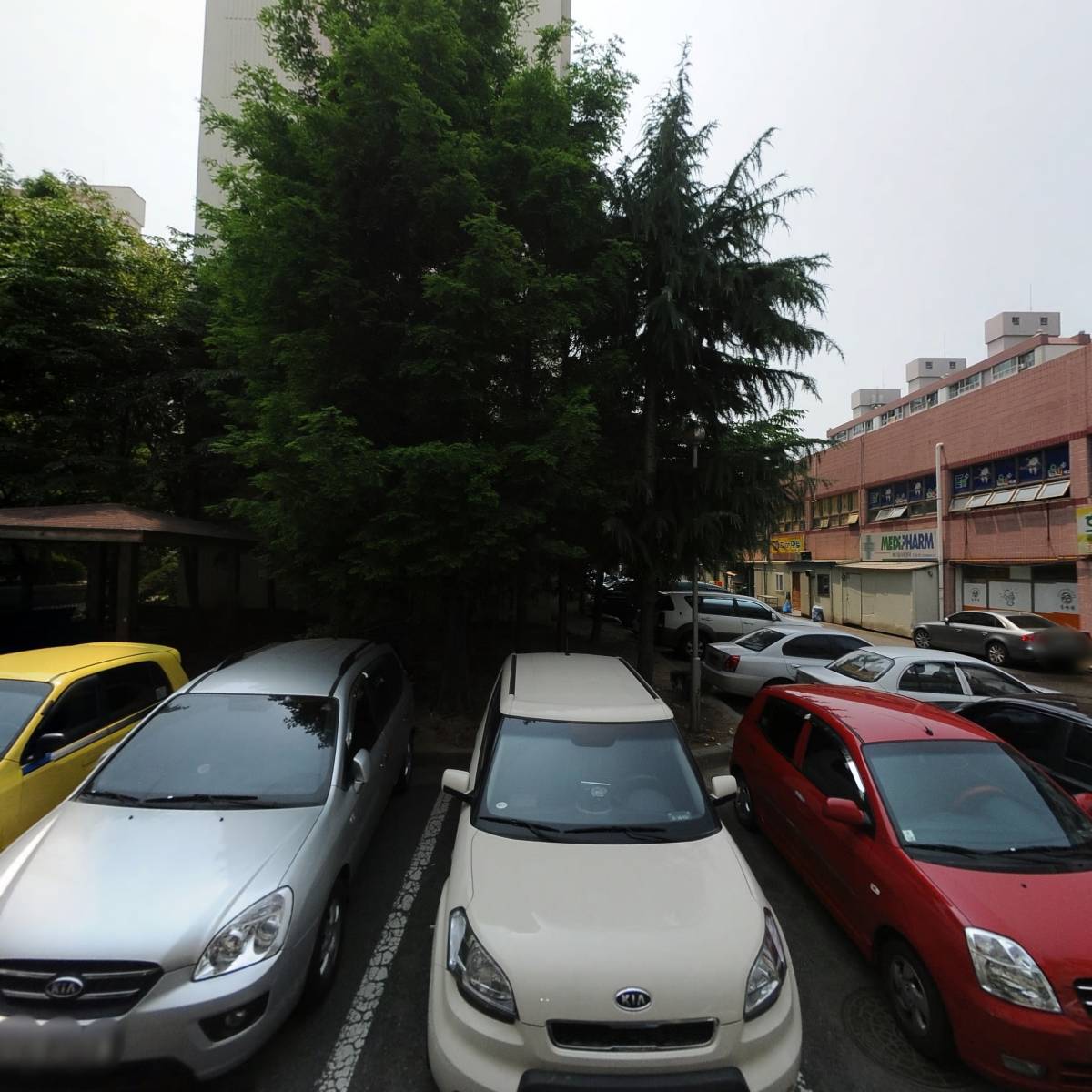 샐러바웃 상무점