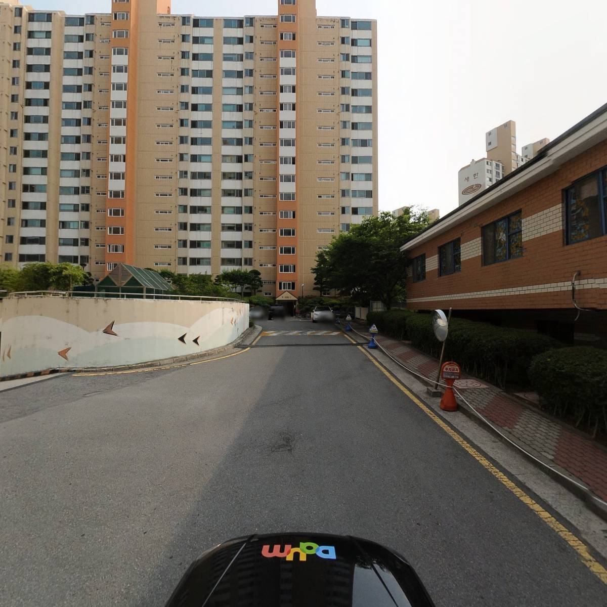 그린헤어라인_4