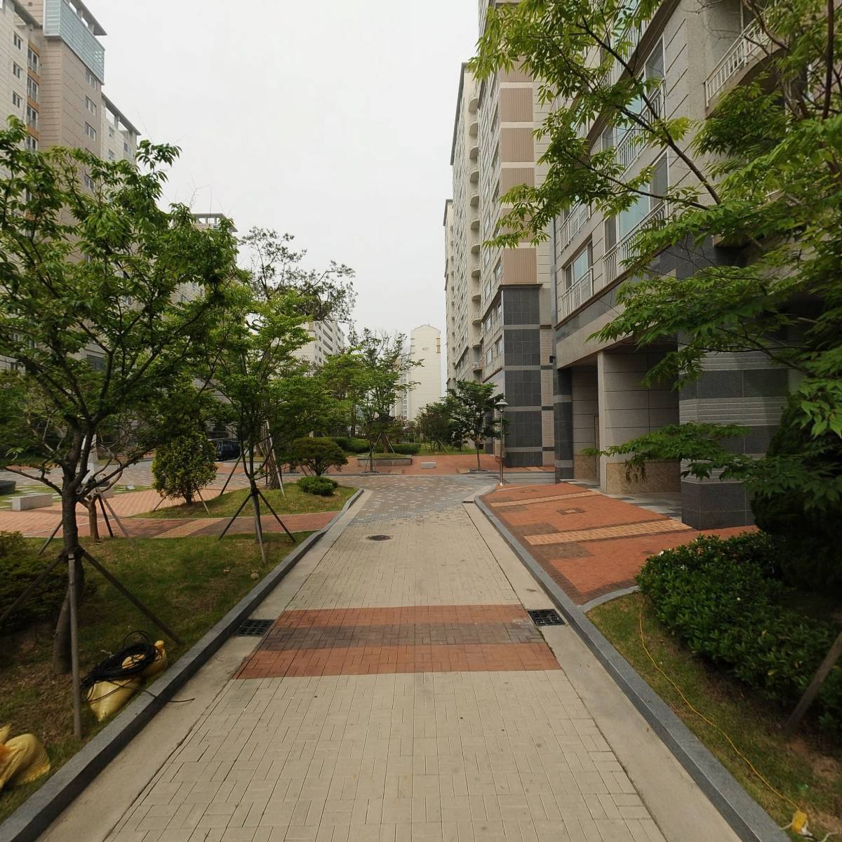 김광호_2