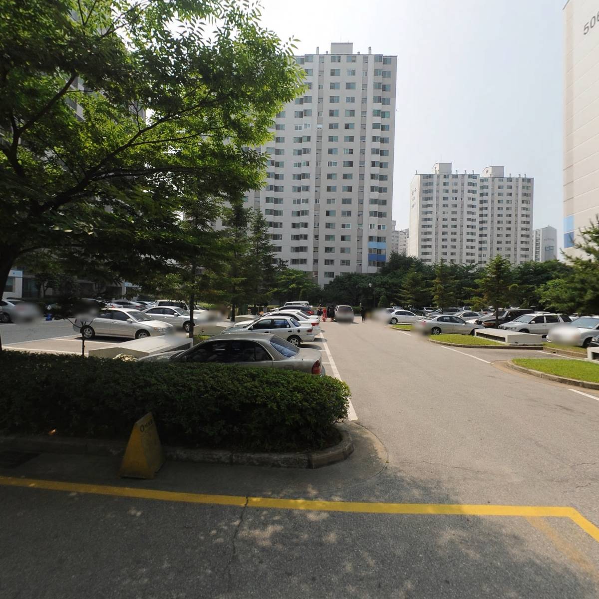 마야플로르