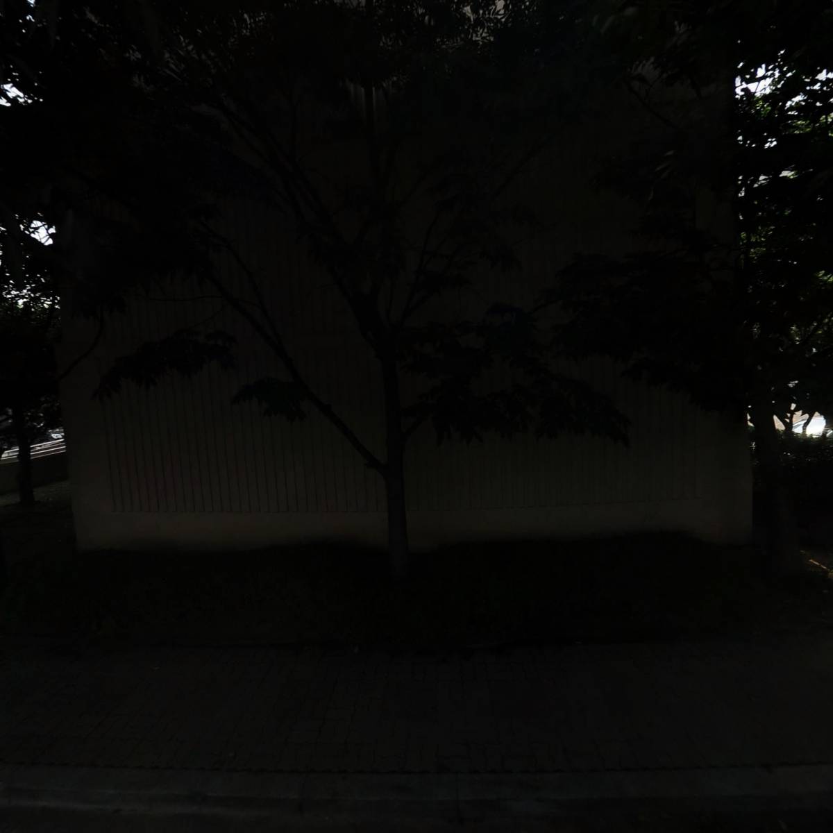 민서네 인셀덤_3