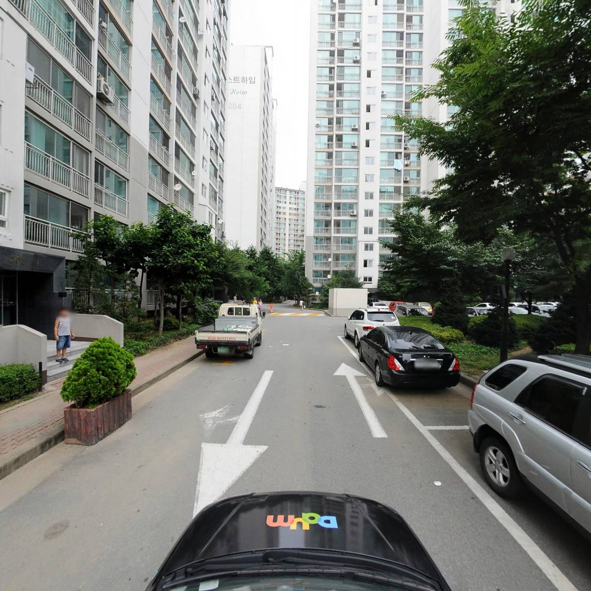초록스타_4