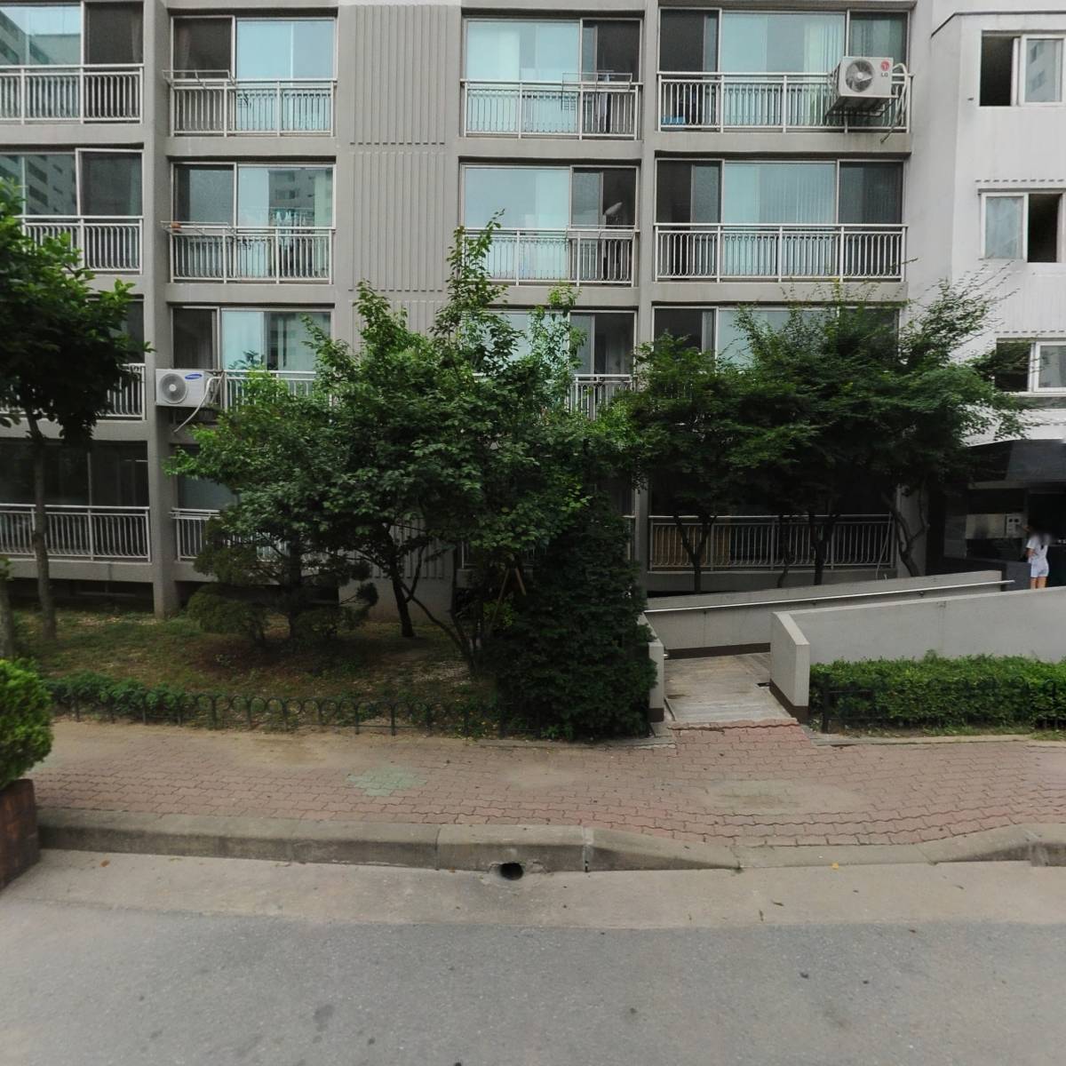 초록스타_3