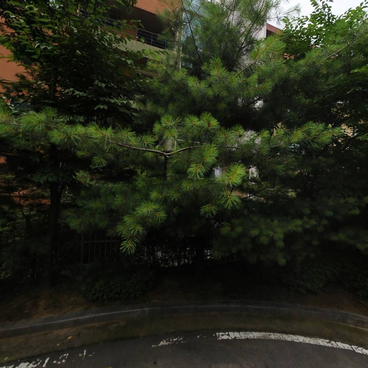 대지고등학교