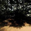 리알씨