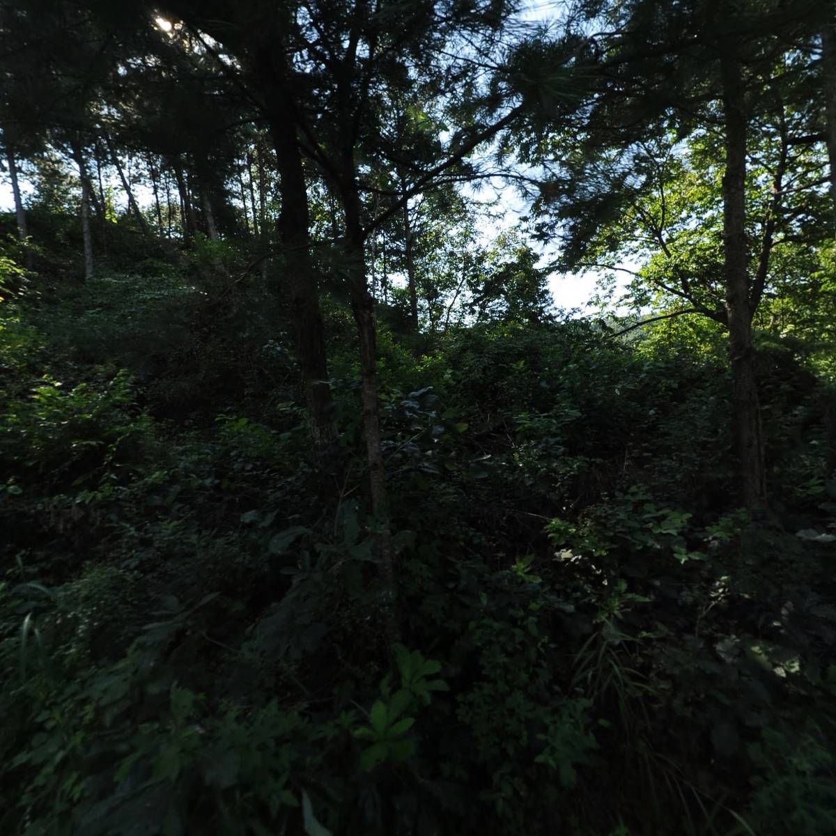 춘천평화노인마을