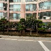 화성스카이차_3