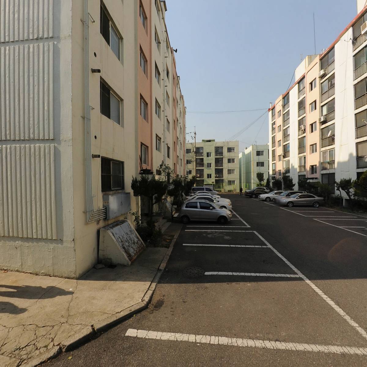 모디스_3