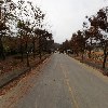효자의 집_2