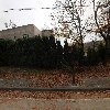 효자의 집