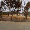 효자의 집_3