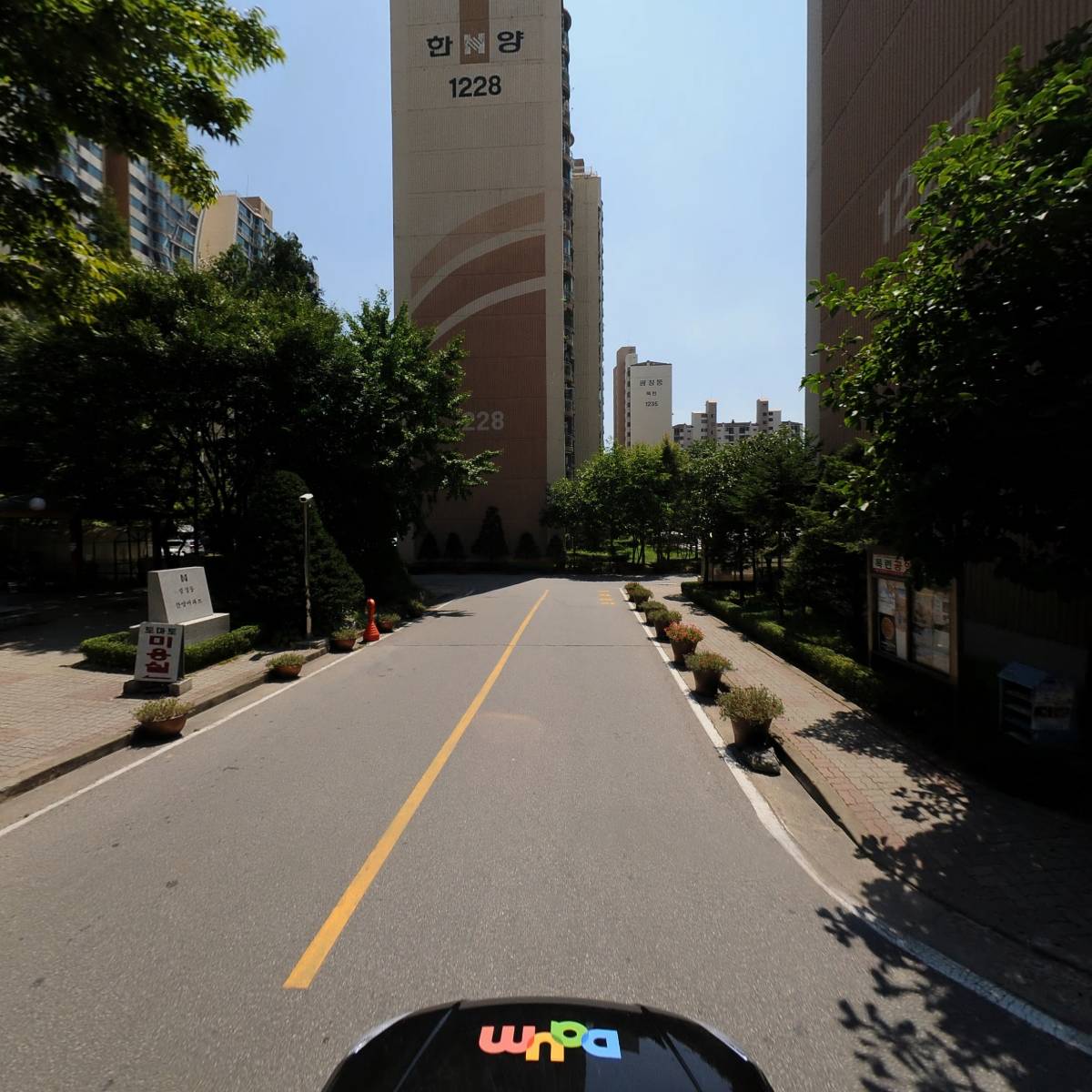 소나무_4