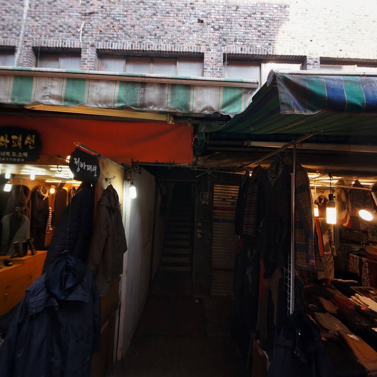 플라밍고(Flamingo)