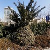 중소기업은행 인사동지점