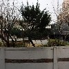 골든아트빌