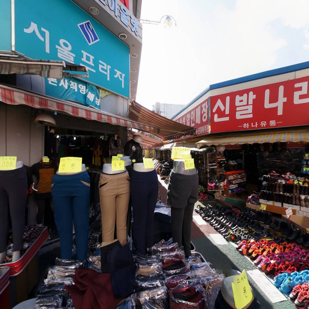 지오데오_3