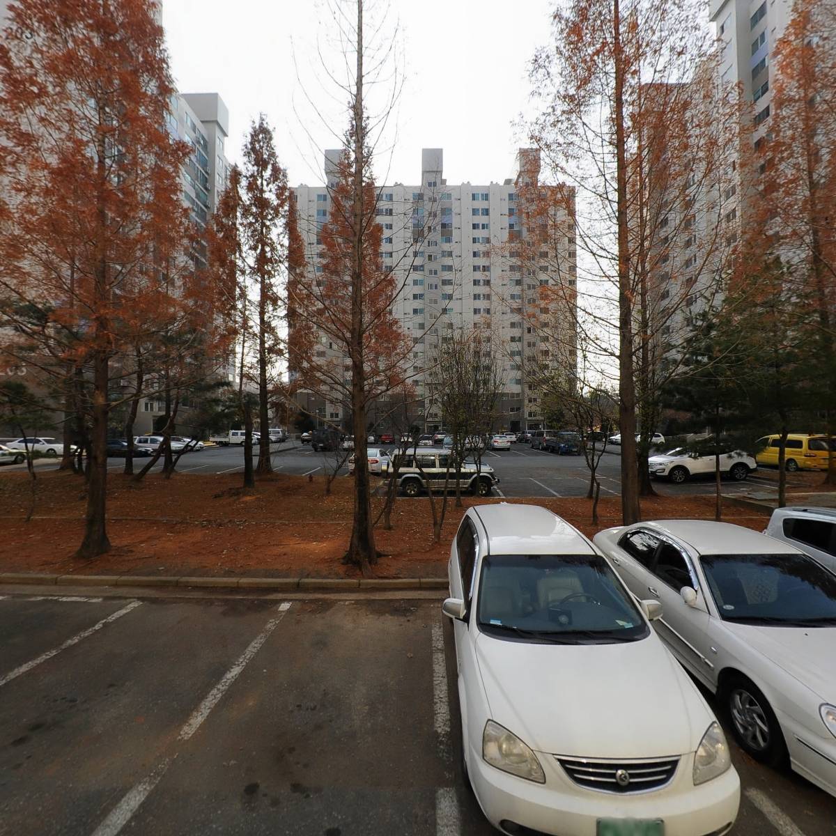 미래살수