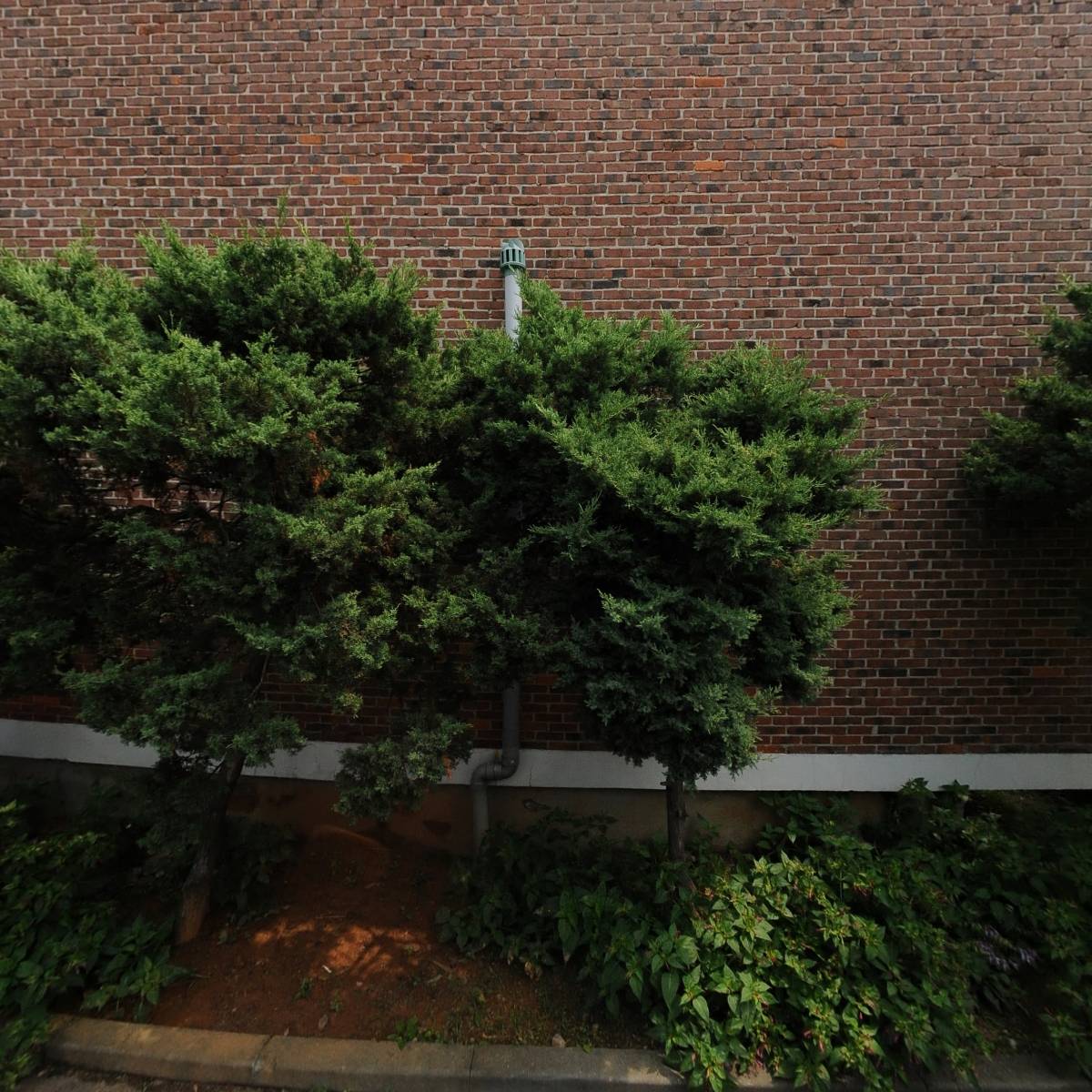 밍구마켓_3
