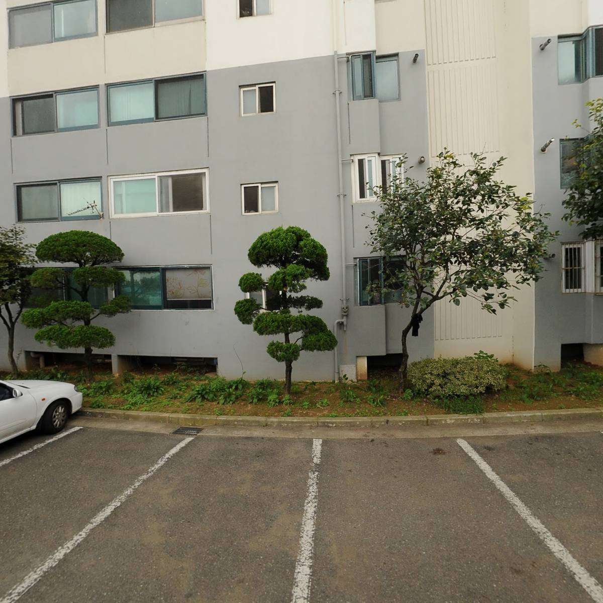 시흥수정어린이집_3