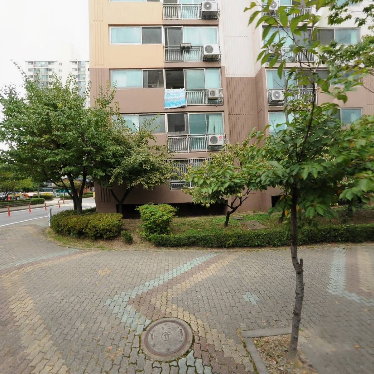신영초등학교