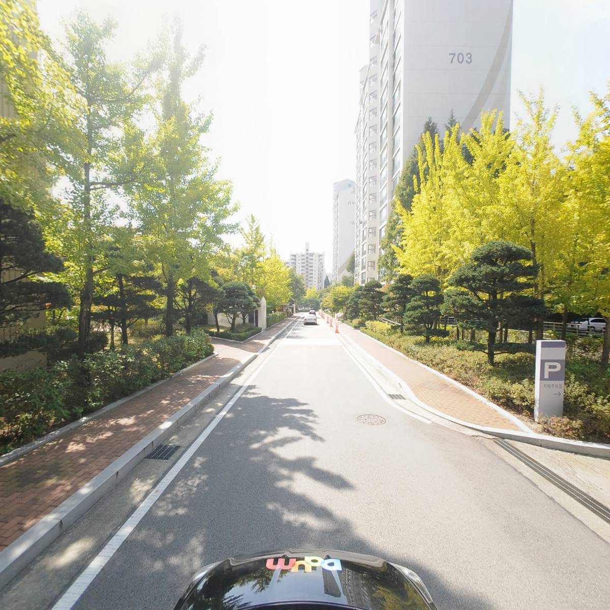 유야 바이오 컨설팅(YUYA Bio Consulting)_4