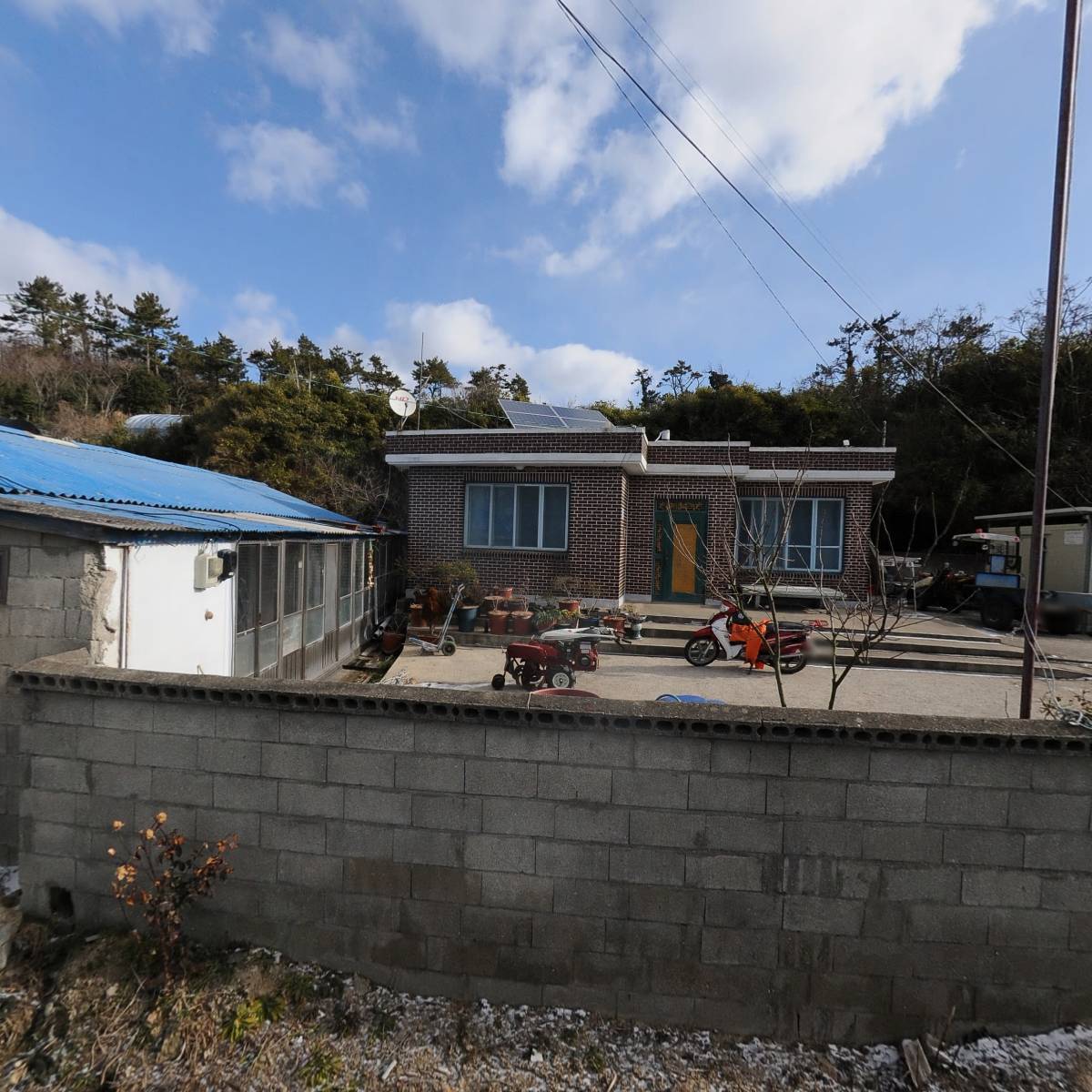 열대과일 19학번 강산
