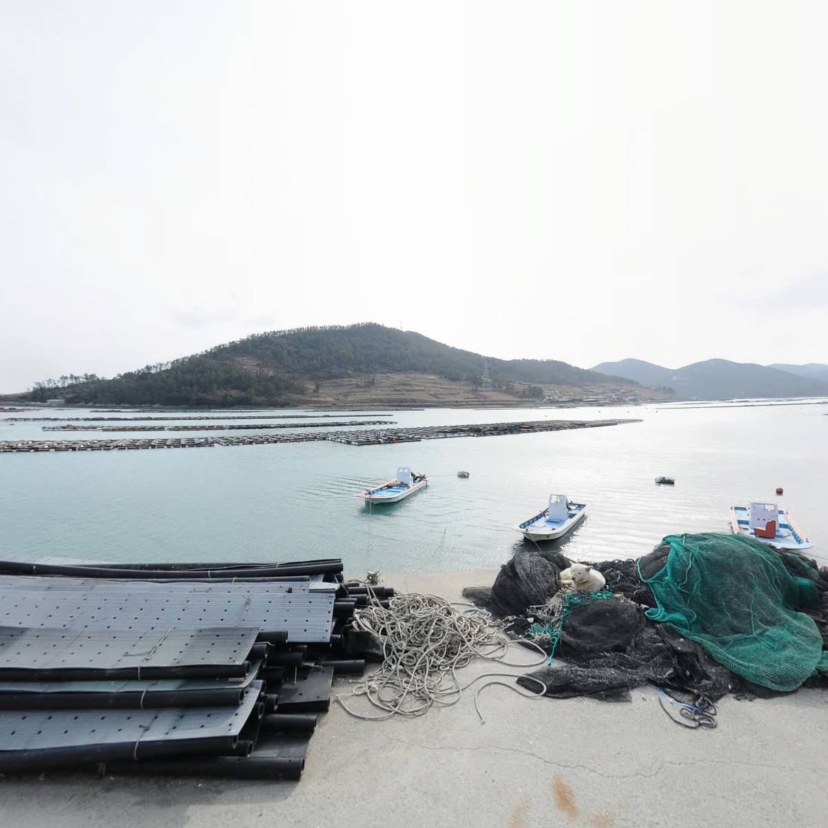 동그라미수산（포전어촌계）