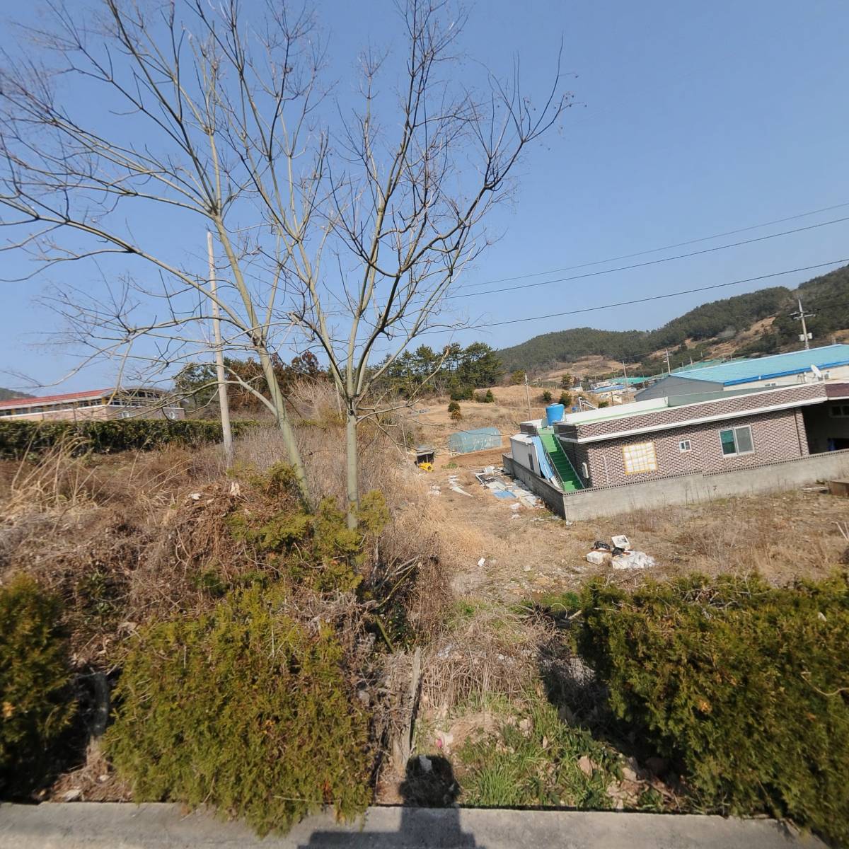 금일중학교