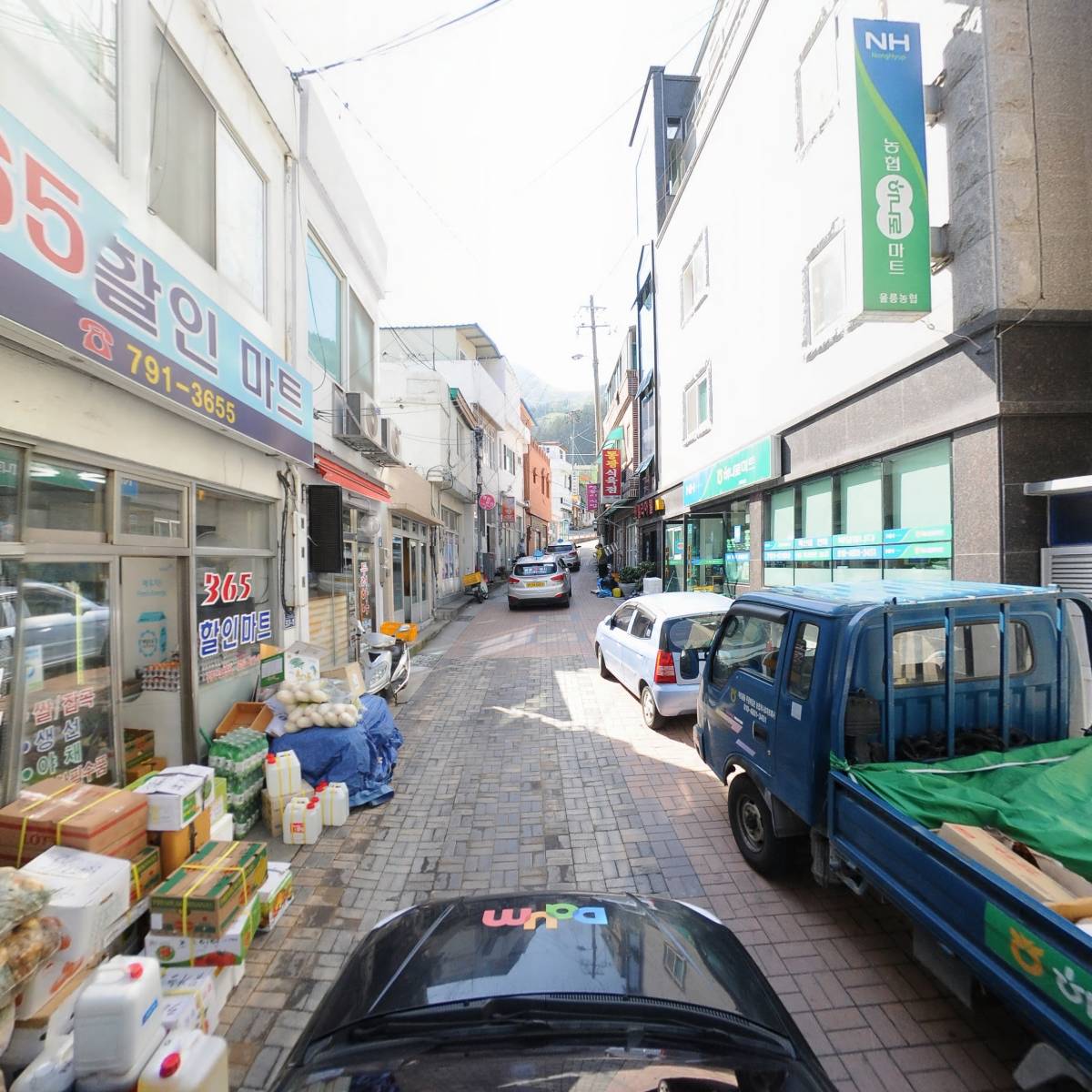 울릉농업협동조합_4