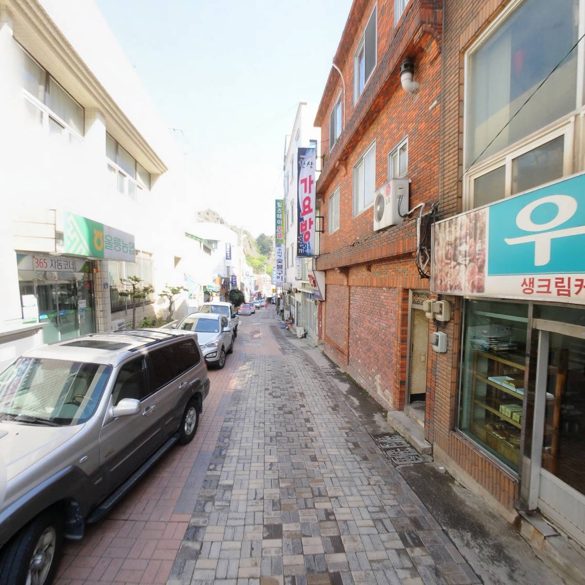 울릉농업협동조합_2