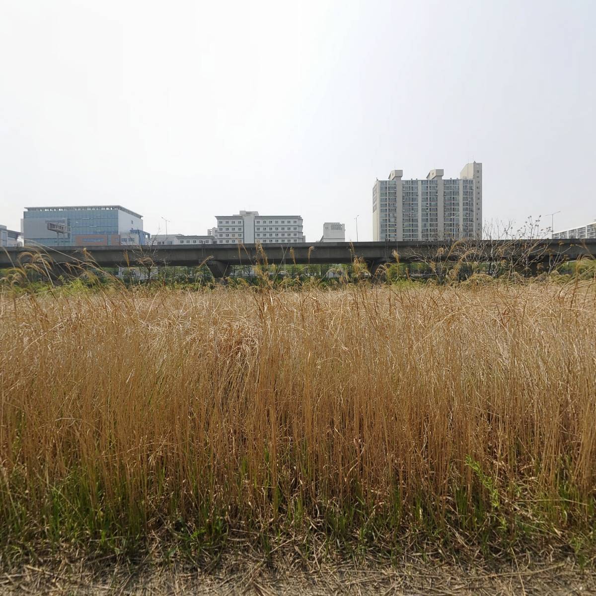 주식회사 고반홀딩스