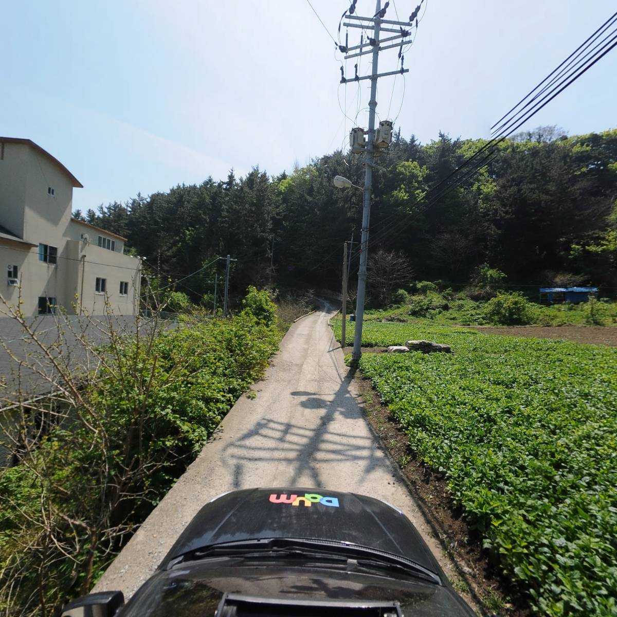 울릉군농업기술센터_4