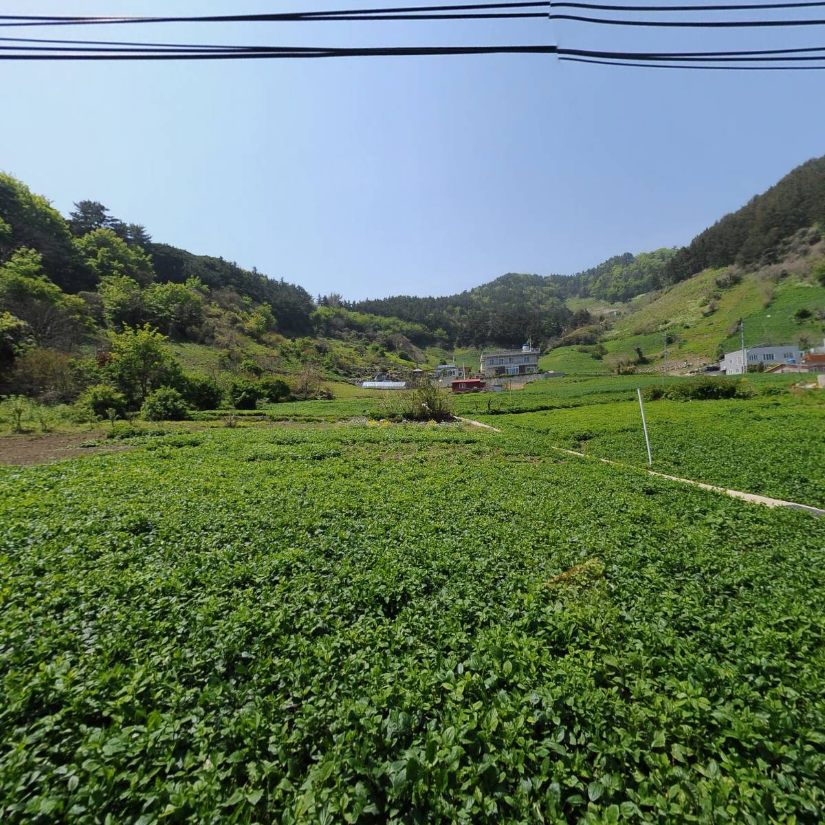 울릉군농업기술센터