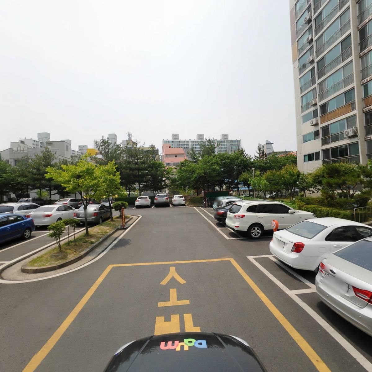천연웰빙나라_4