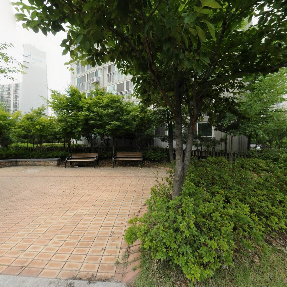 명품세탁소