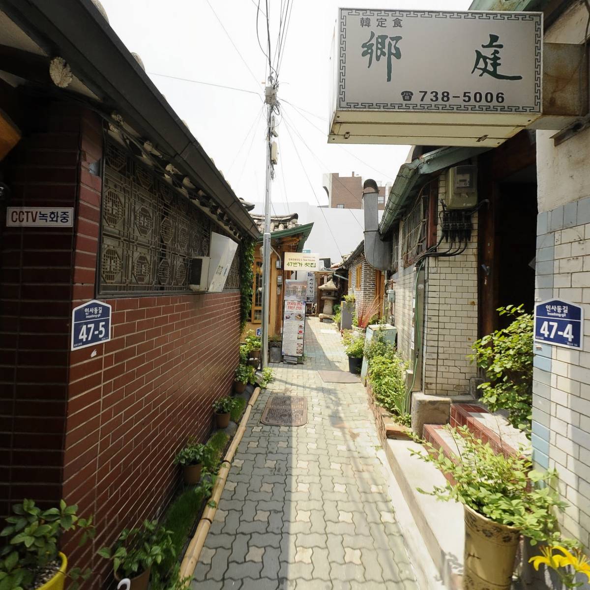향정_4